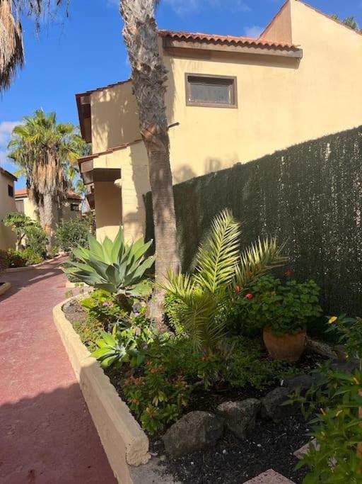 Casa Cactus Paraiso Parque Holandes Exterior foto